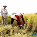 이기수농장 이미지