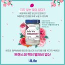 포라이프의 놀라운 힘, 갱년기 고민 끝!