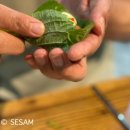 불닭발앤쌈 이미지