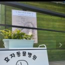 효자동물병원 이미지