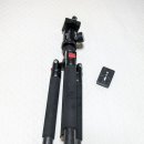 G1228 이미지