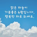 빨래 / 김수상 이미지