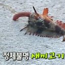 천희 Daum카페