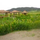 정호민박 이미지