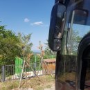 대관령전망대 이미지