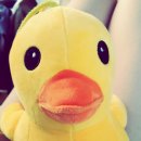 뽑기홀릭 이미지