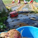 해밀계곡농장 이미지