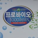 신지약국 이미지
