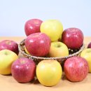 청송프라자 이미지