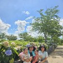 복룡리 화장실 | 물놀이+동물체험+버블쇼까지! 아이들과 제대로 즐긴 무안 회산백련지 워터락 페스티벌 후기 🌊