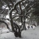 형제주유소 이미지