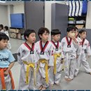 거룡태권도2관 이미지