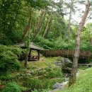 만수산자연휴양림 이미지