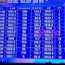 응투네 이미지