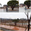 부령회센터