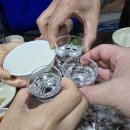 목동 회 맛집 추천 &#34;옛날마차&#34; 솔직 후기! 싱싱한 회와 해산물이 맛있어요!