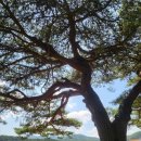 맹방초등학교 이미지