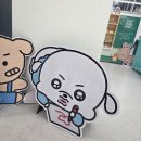 이모티콘인터넷PC플라자 | 수원 AK플라자 오늘의 귀여움샵 팝업 방문후기! (복슬이 팝업)