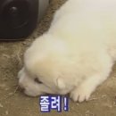 월 이미지