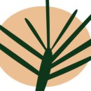 더 파인트리 이미지