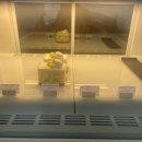 코스모스파티세리 이미지