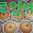 순배농장 이미지