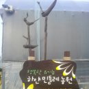 행복꽃농원 - 8650 | 행복꽃농원