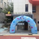 양재목련 이미지