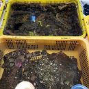 싱싱활어천국 이미지