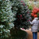 소백정원 이미지