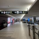 운하목욕탕 | 일본 홋카이도 삿포로 여행 오타루 날씨 오타루운하 야경