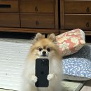 (주)알엠퍼스트 | 25.12월