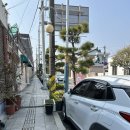 동부반점 | 남해 만약에우리 촬영지 중국집 지족반점 짬뽕, 볶음밥 후기