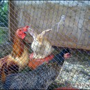 타이어하우스 이미지