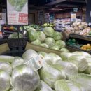 상업용 93 이미지