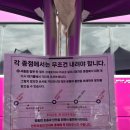 스넥앤커피 | 보고 가면 후회 안 함🚨)동해시 무릉별유천지 라벤더축제 후기🪻🐝 : 입장료, 셔틀, 시멘트아이스크림, 준비물
