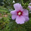 대인농장 이미지