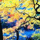 산하의물결 이미지