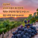 행복한아침 이미지