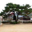 교동초교 이미지