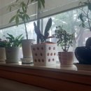 동신한의원 이미지