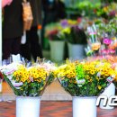 홍콩노래광장 이미지