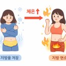 체온다이어트 - 김포시 풍무로 107 | 체온다이어트