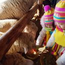 우화 목장 이미지