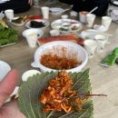 회마루평창송어 이미지