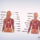 원주국민체육센터 헬스장 이미지
