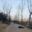 율하고등학교 | 김해 율하 아파트 어디가 좋을까?｜율하 1지구 vs 2지구 실거주 비교
