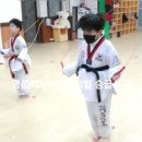명품 백두 태권도 이미지