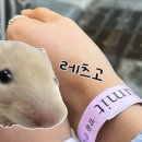 sum | 부산 로테이션 소개팅 <썸잇> 경성대 솔로파티 다녀온 후기
