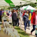 신선경로당 이미지